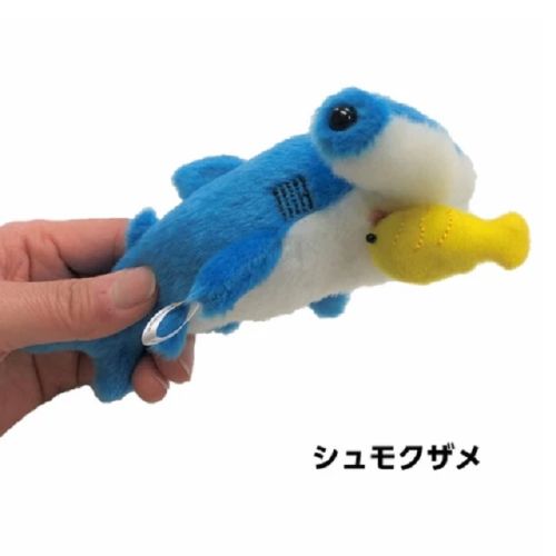 ぷるぷるぱくっと シュモクザメ