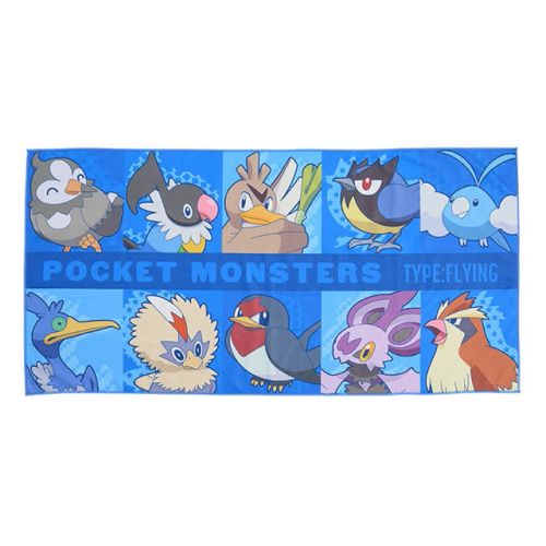 ポケットモンスター [PM]バスタオル ～ドラゴン&amp;ひこう～ B：ひこうタイプ
