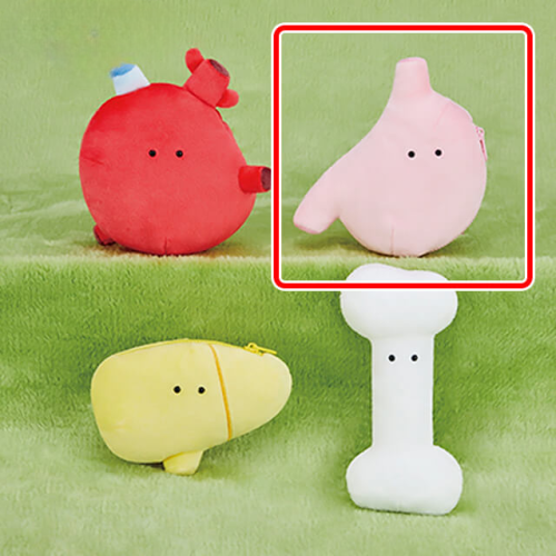 FANS にんげんのからだぬいぐるみポーチ B：い