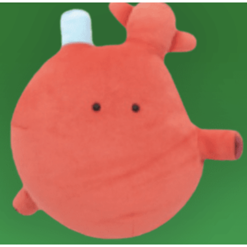 【FANS】しんぞう にんげんのからだぬいぐるみポーチ