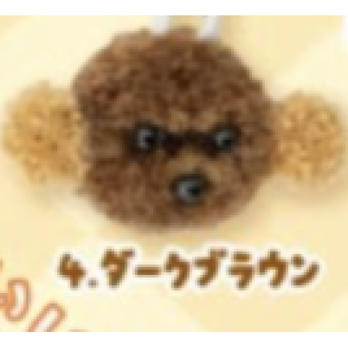 【ころころトイプードル】 ダークブラウンころころトイプードルボールチェーン