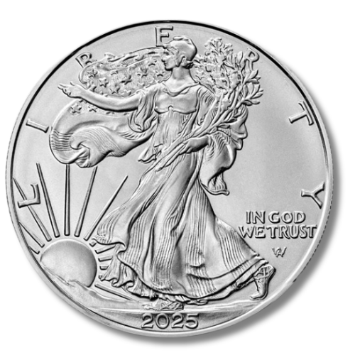 メイプルリーフ銀貨＆イーグル銀貨 1オンス セットの商品画像