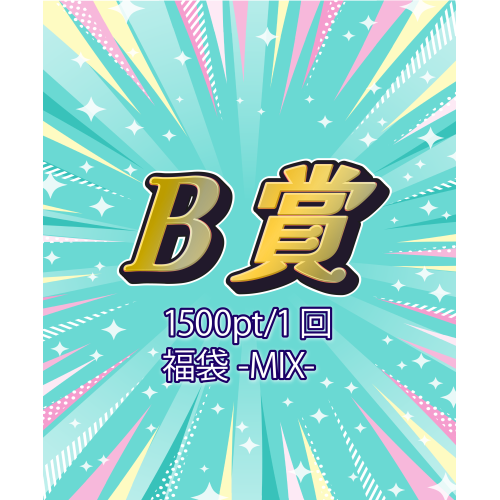 B賞 福袋-MIX-