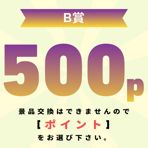 【発送不可】500p還元