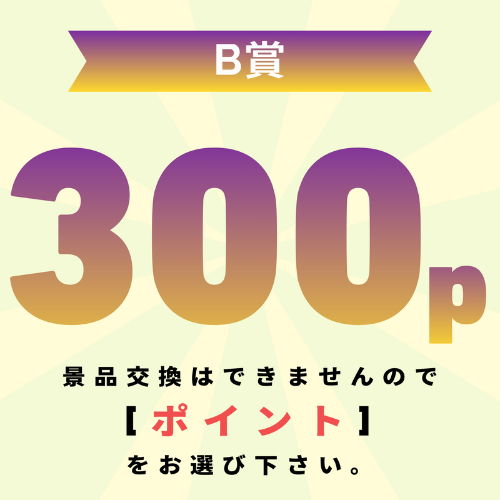 【発送不可】300pt還元