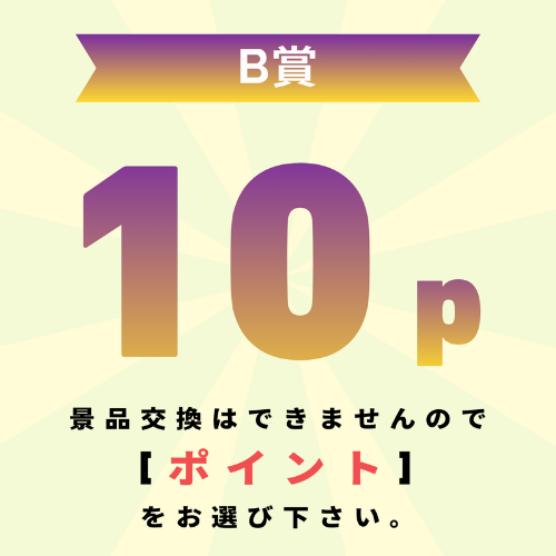 【発送不可】10pt還元