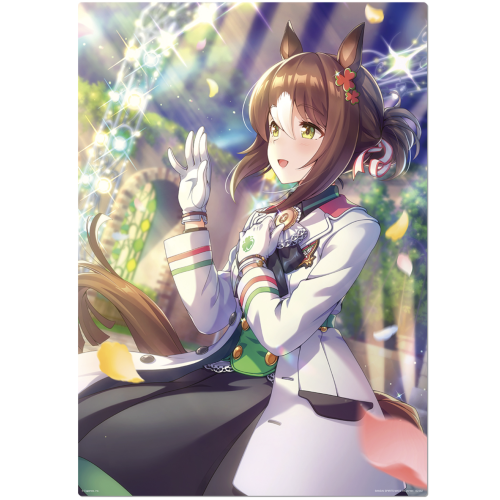 ウマ娘プリティーダービー ファインモーション 2弾 C賞イラストボード